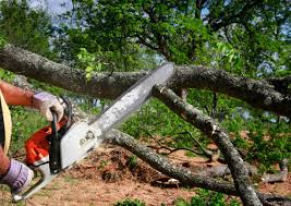 Reliable Poulsbo, WA Tree Removal and Landscaping Services Solutions